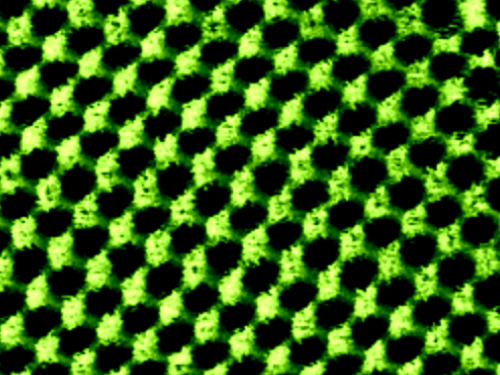 Imaging AFM di WSe₂ su grafene con Park NX1