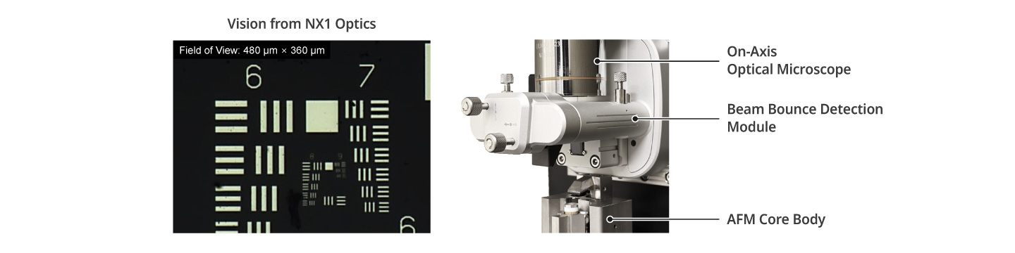 Vista ottica on-axis del microscopio Park NX1 su sonda e campione
